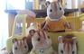 Sylvanian Families- episo