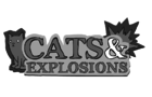 Cats and Explosions
