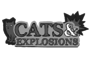 Cats and Explosions