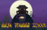 Ninja Training School