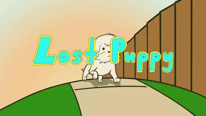 Lost Puppy: Security