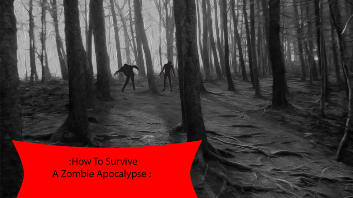 How To Survive : Zombie