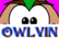 Owlvin Little Owl Rescue