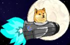 Doge: To the moon