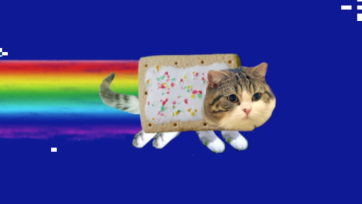 Maru Nyan Cat
