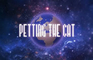 Petting The Cat