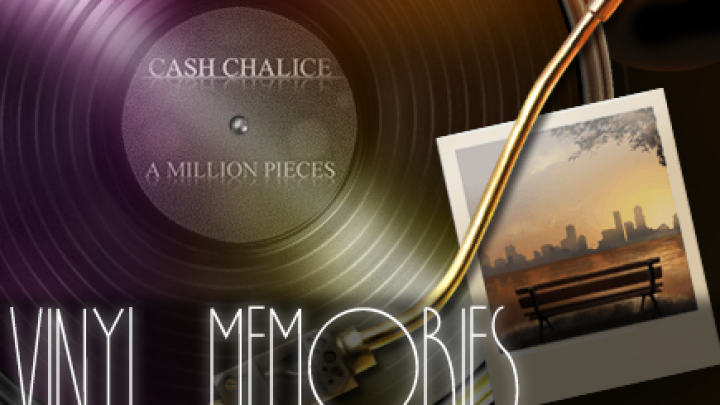 Vinyl Memories