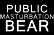 Public Masturbation Bear