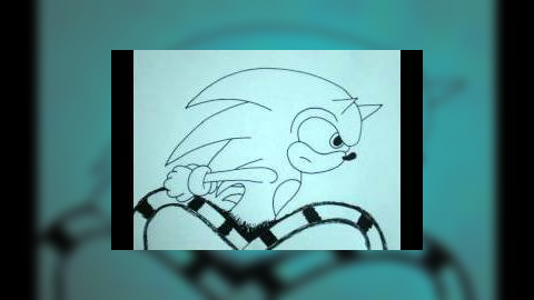Sonic: Rake The Hedgehog