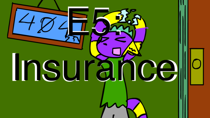 PLimH E5 Insurance