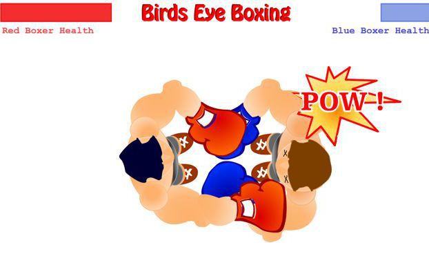 Birds Eye Boxing