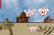 Pigs fly. Pigs Die