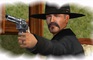 Wild West VII