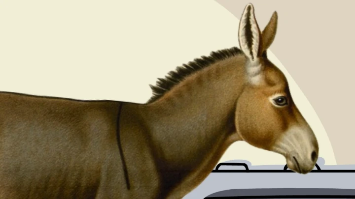 Oops! My Mom's a Mule!