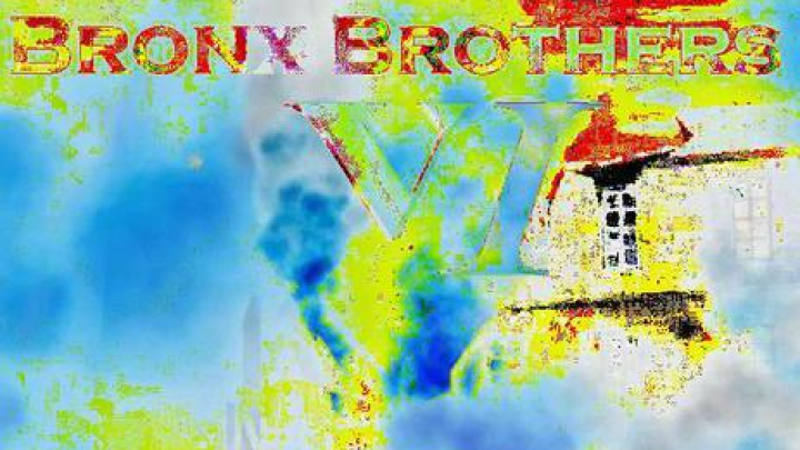 Bronx Brothers VI