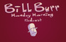 Bill Burr "Southern Voice
