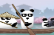 3 Pandas in Japan