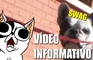 Informative Vlog/News