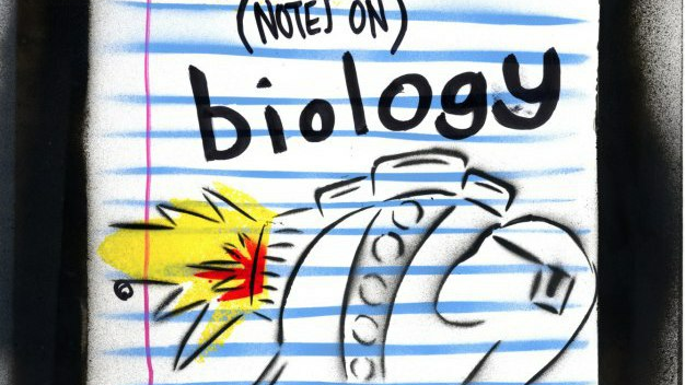 (notes on) biology