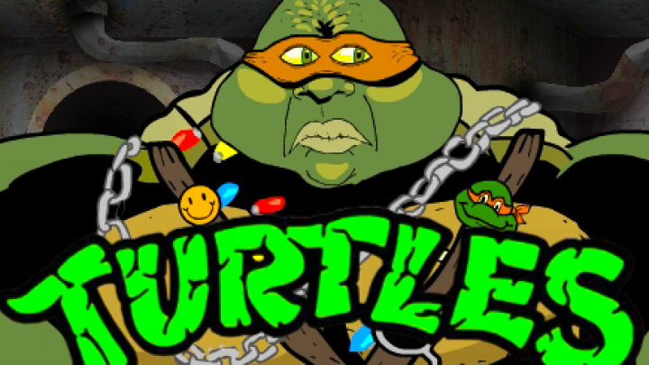 What I Hated About TMNT