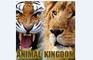 Animals Kingdom