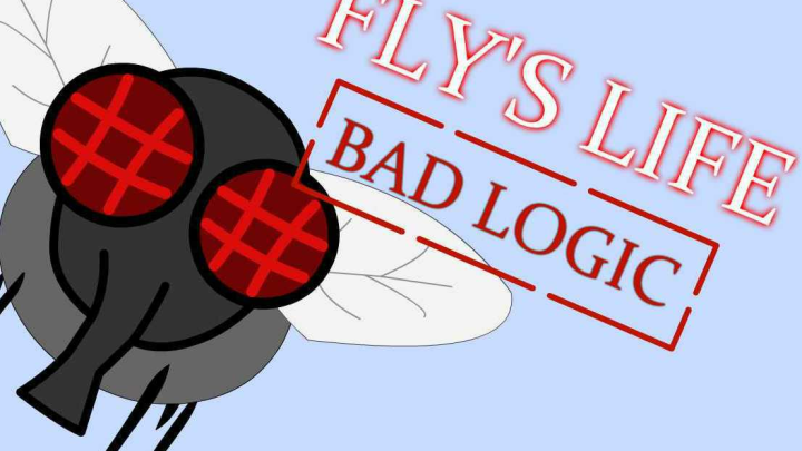 Fly's Life : Bad Logic
