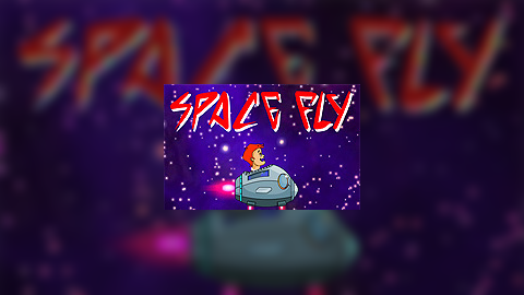 Space Fly