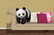Panda Room Escape