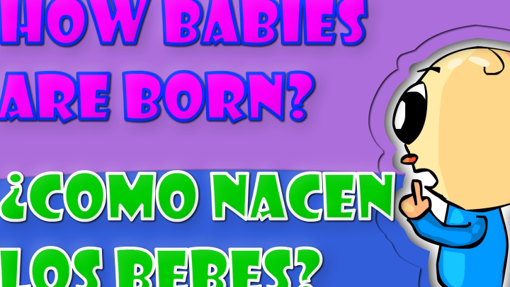 HOW BABIES ARE BORN? // ¿COMO NACEN LOS BEBES?