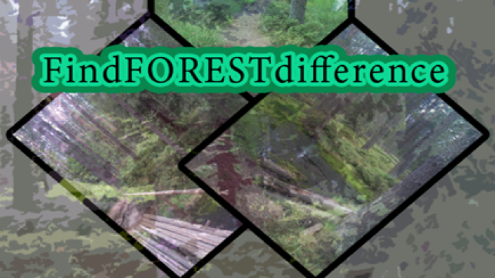 Find Forest Difference