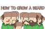 How To Grow a Beard