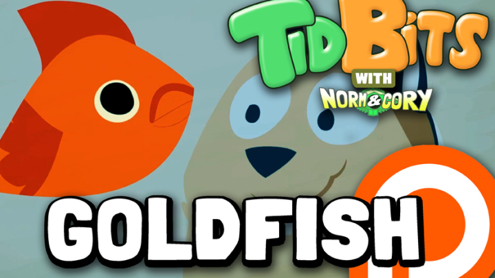 TidBits 12 Goldfish