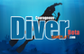 Courageous Diver