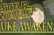 STAR WARS: Luke Awakens