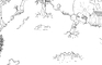 Animation tests