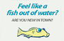 Plop Fish Ad