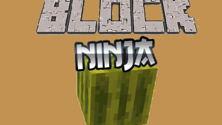 Minecraft Block Ninja
