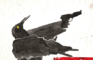 CROWS