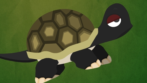 Grumpy Turtle