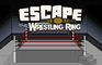 Escape The Wrestling Ring