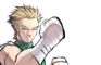 Fighter Tournament?