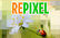 Repixel Animals