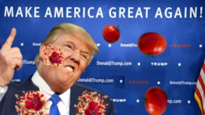Trump That Tomato