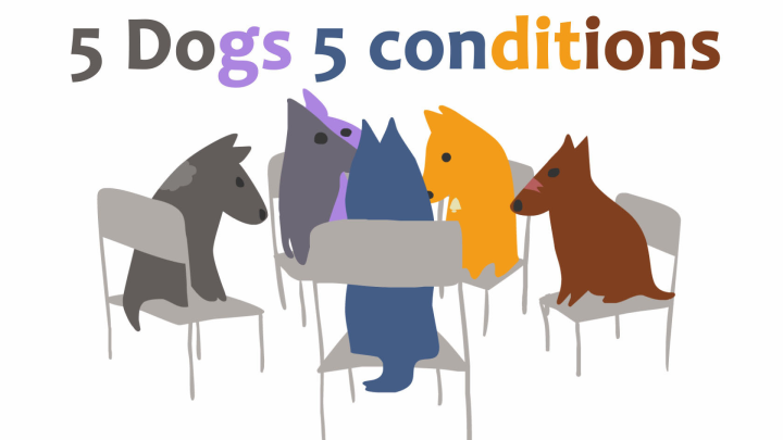 5 Dogs 5 Conditions