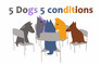 5 Dogs 5 Conditions