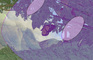 The Parable of the Butterfly Dream