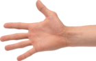 The Handy Hand Hand