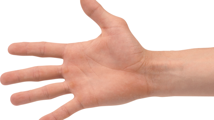 The Handy Hand Hand