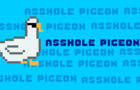 Asshole Pigeon