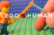 LEGO VS. HUMAN